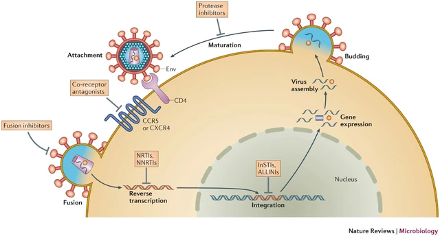 The role of didanosine in managing HIV-related lung disorders
